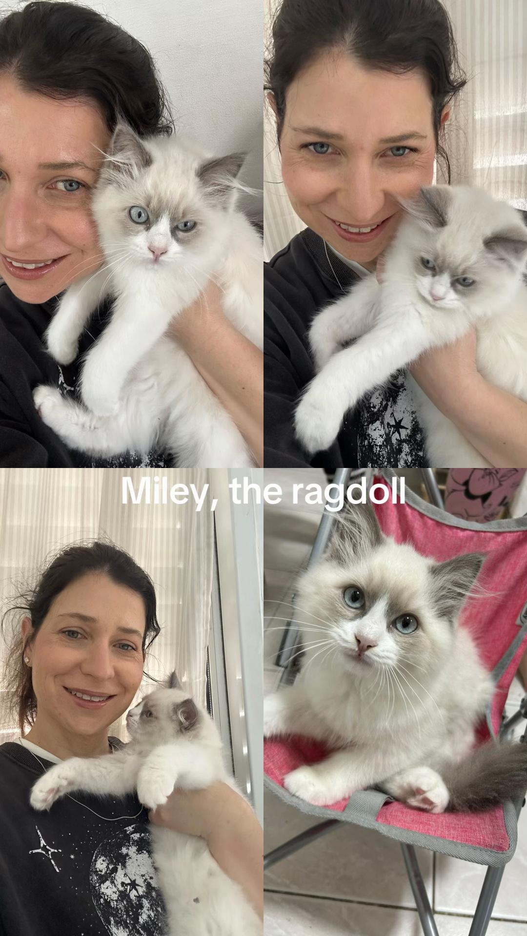@Miley the Ragdall and me