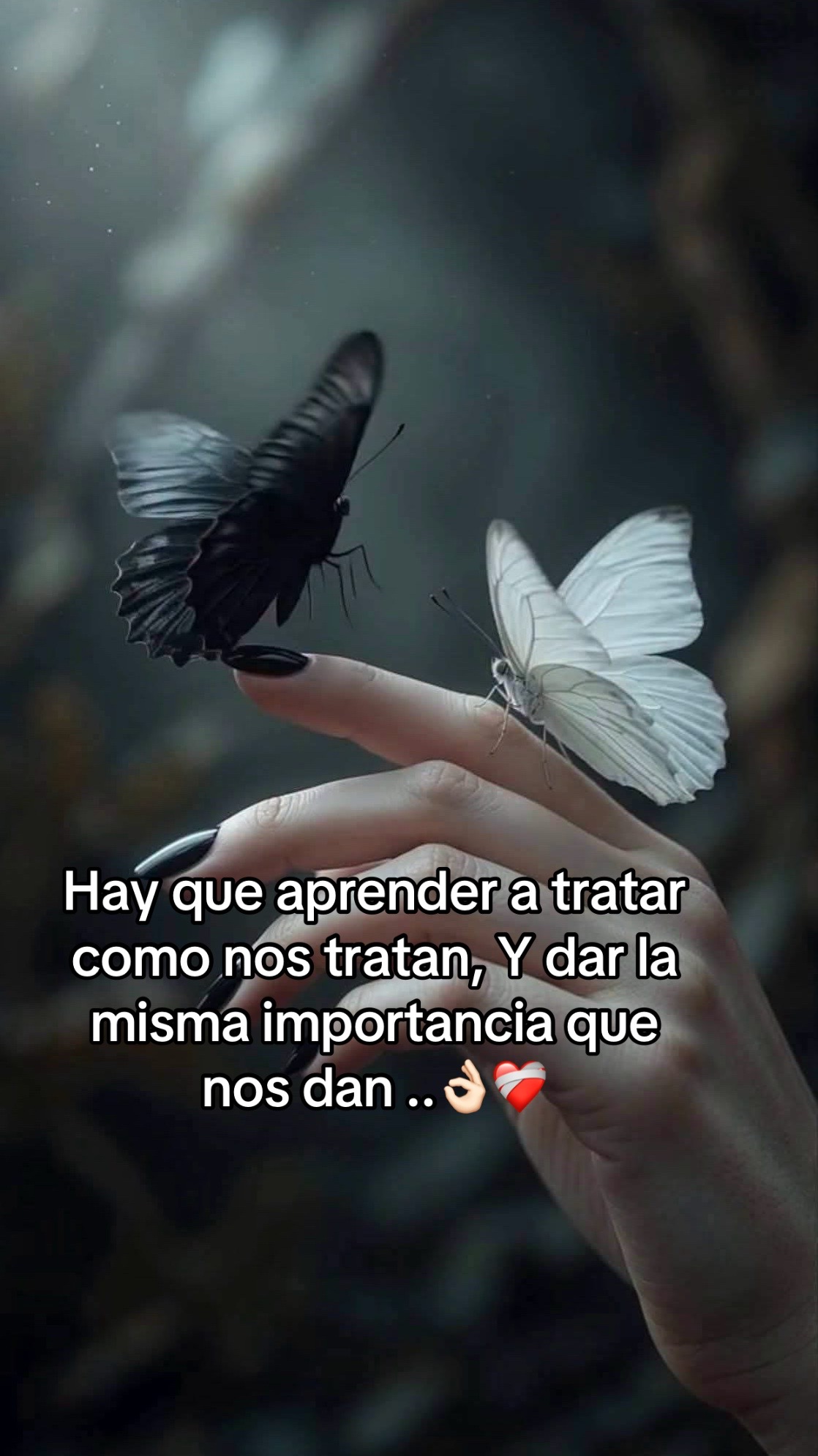 @Adriana sanchez(LDCR🥀🦋