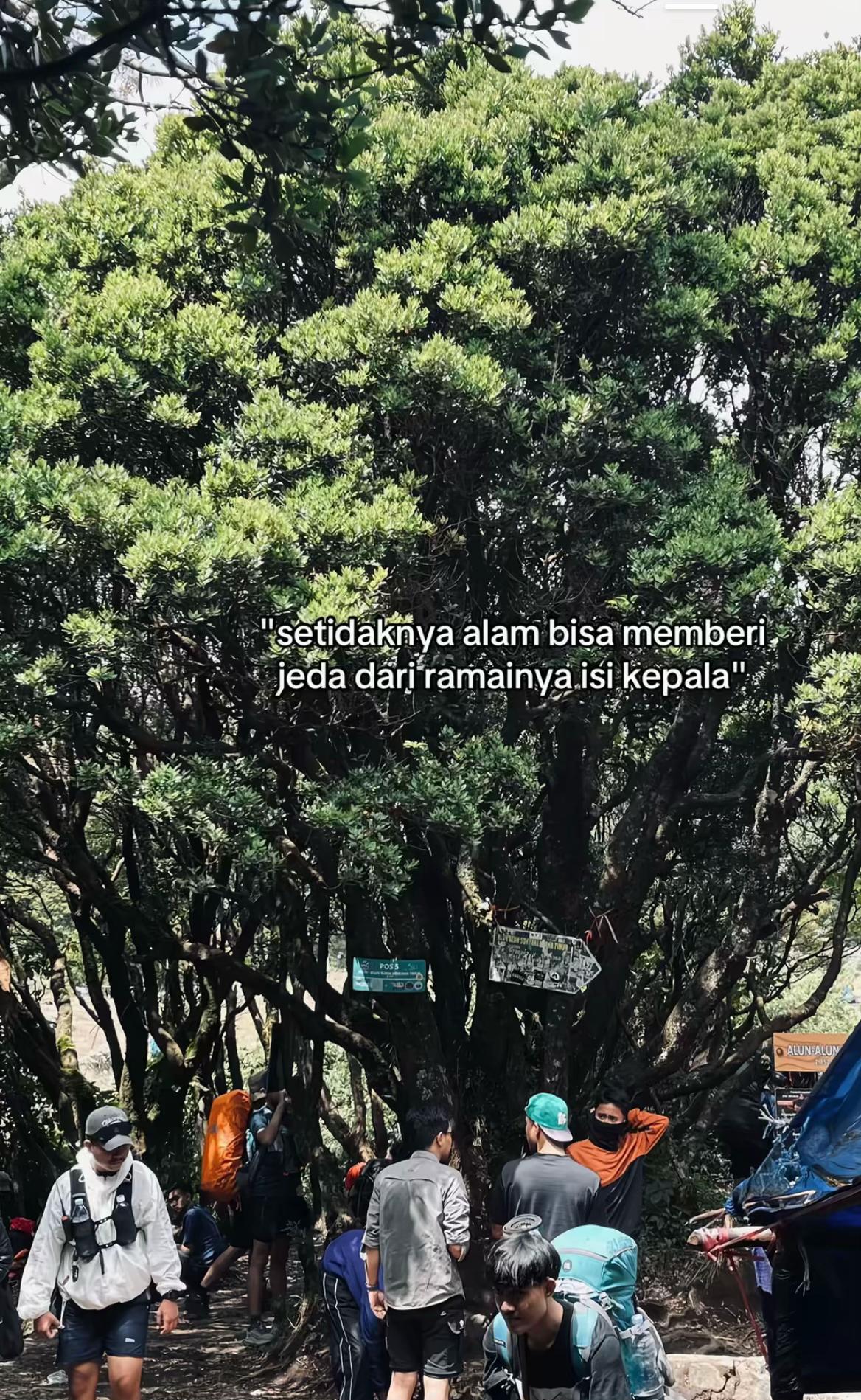 @renaldikunnn1
