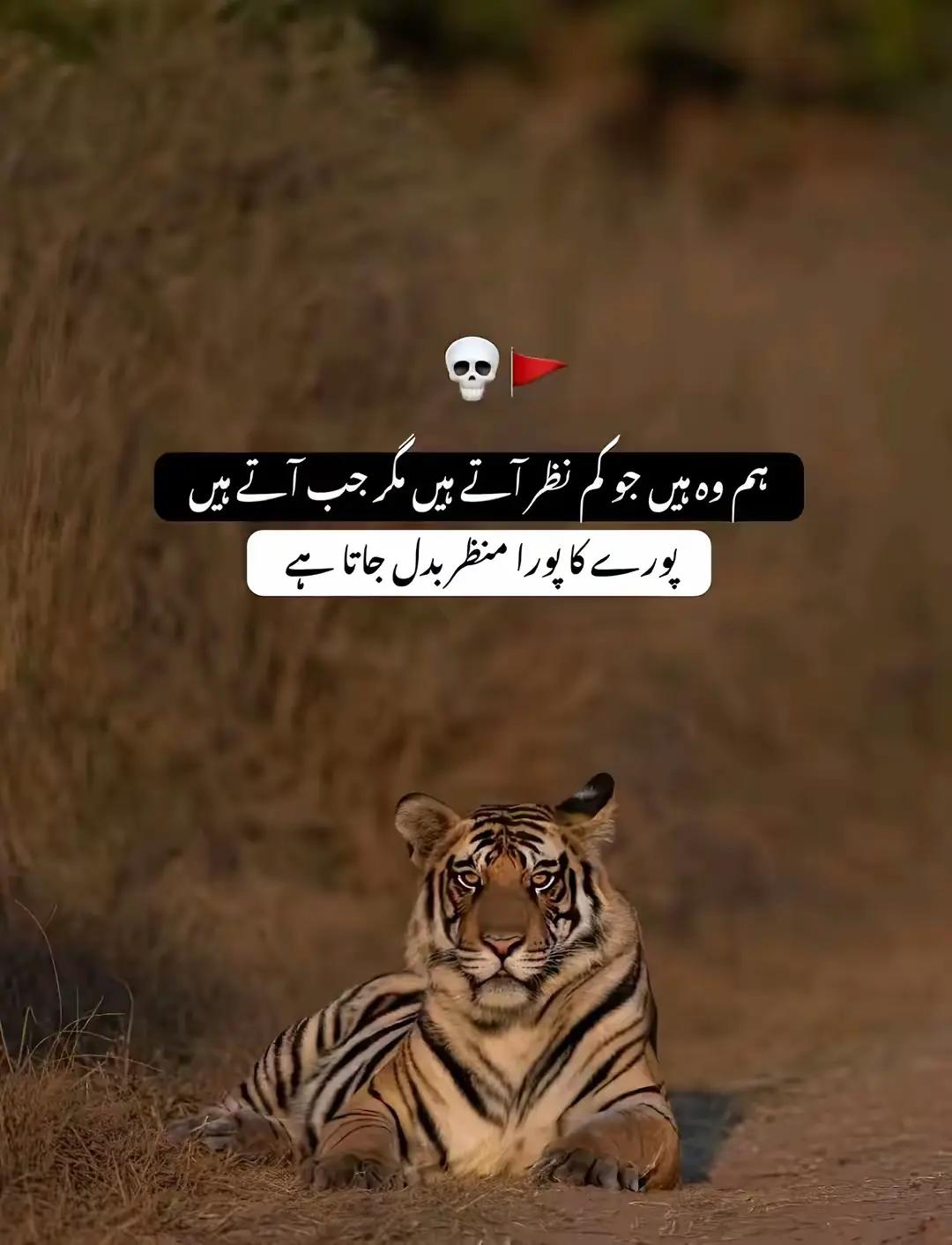 @👑 اصغر چنوں آلہ👑