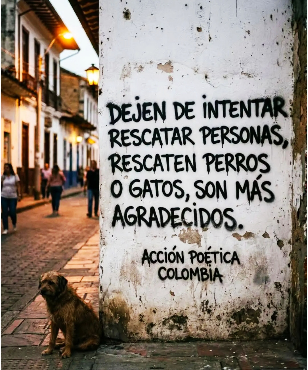 @200CAIDOS