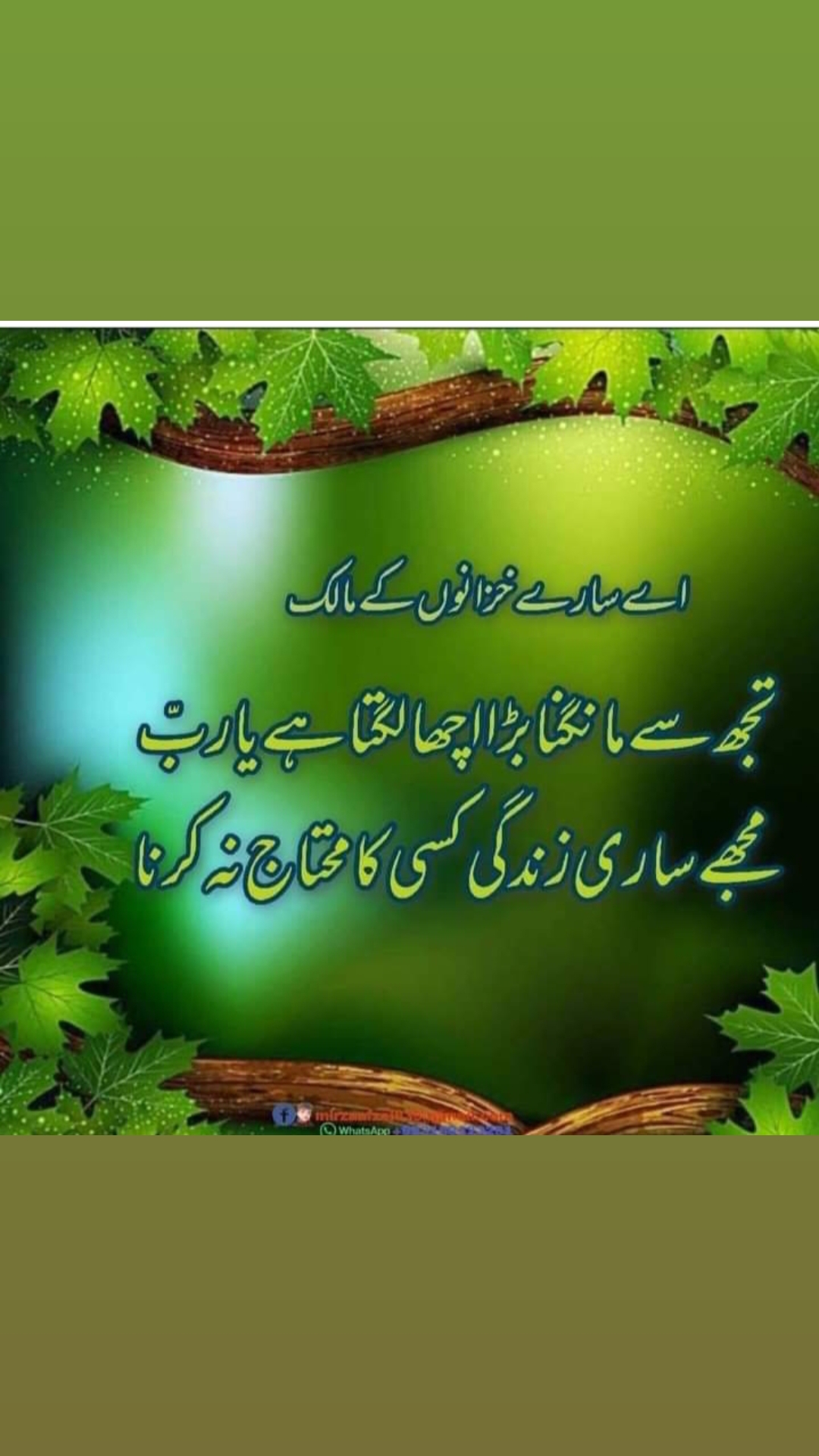 @maryam jamila