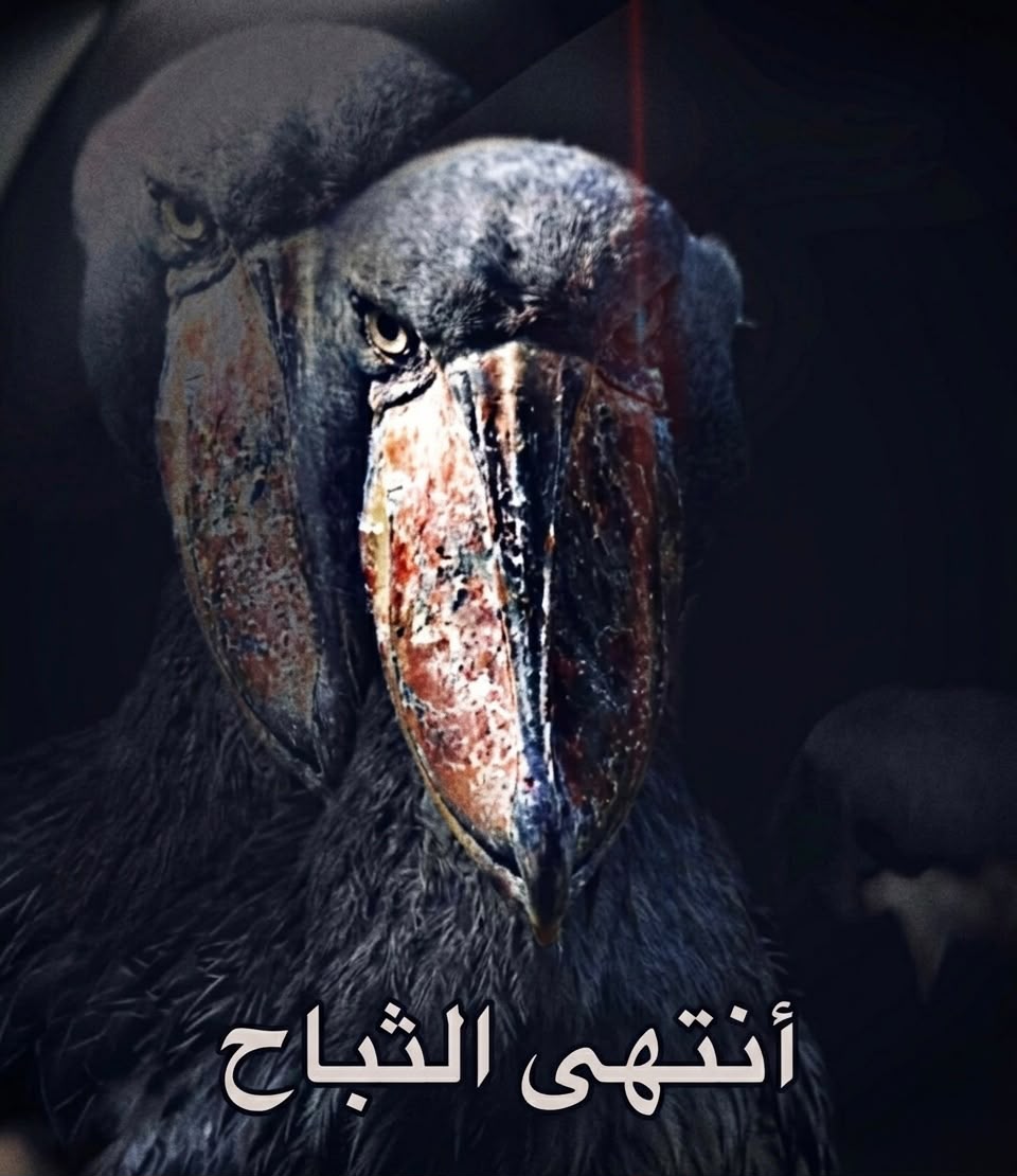@سدير