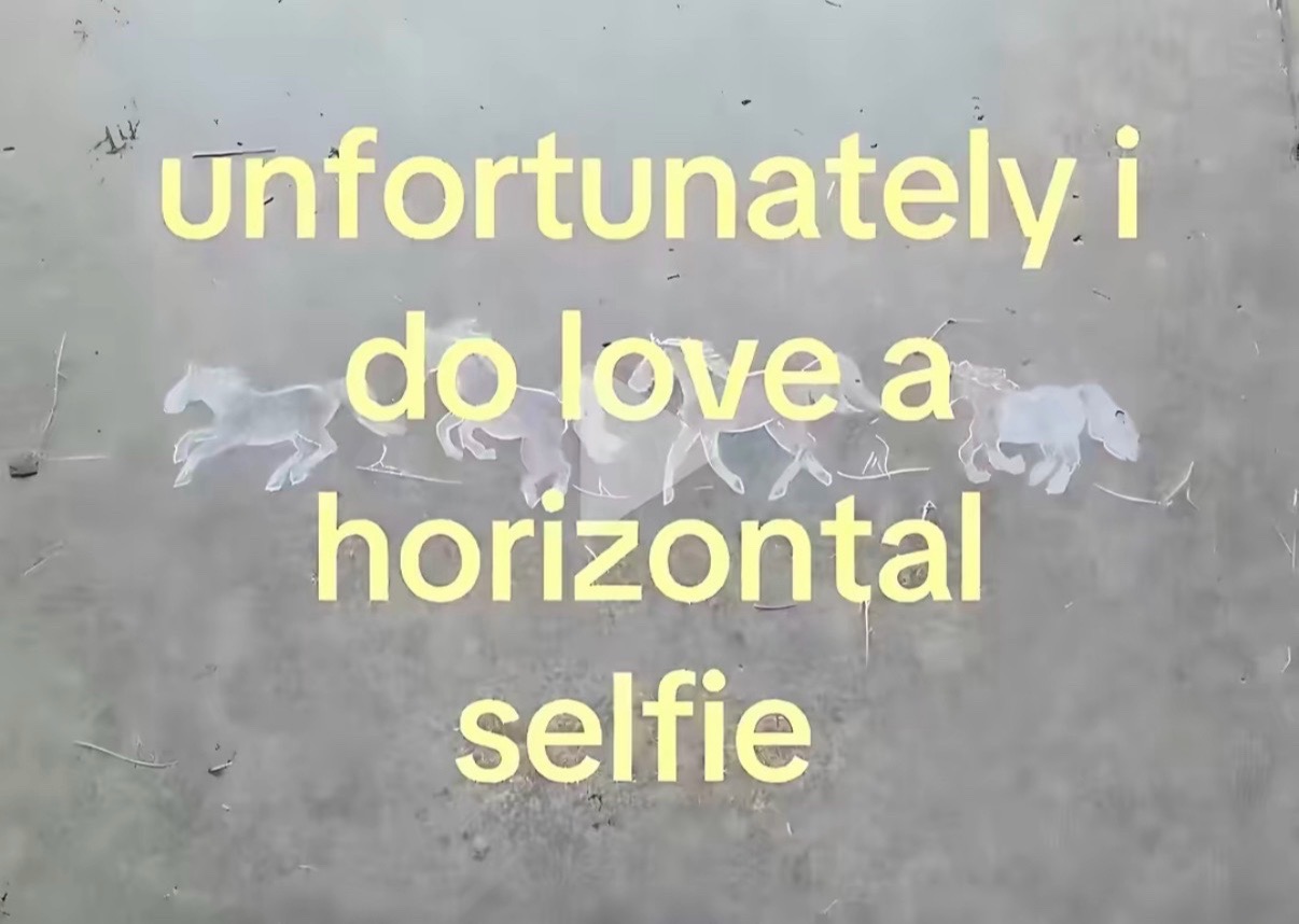 @fayrouz