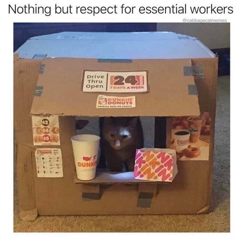 @🐾🐈🖤🤍🧡