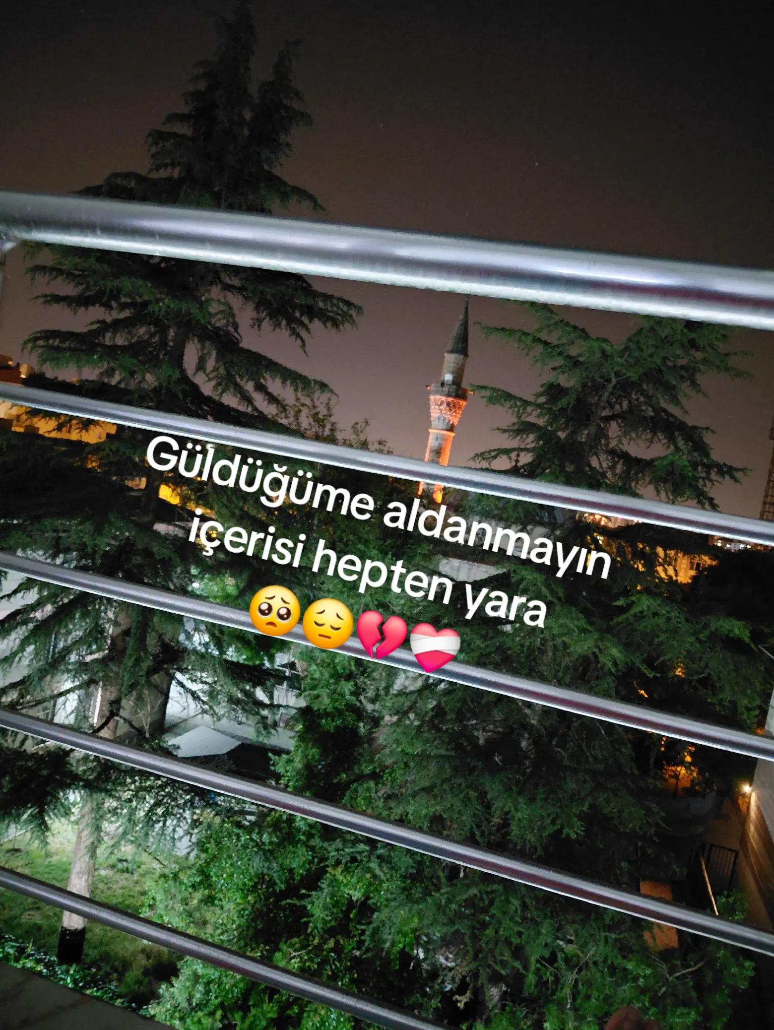 @Hay&acirc;l3807