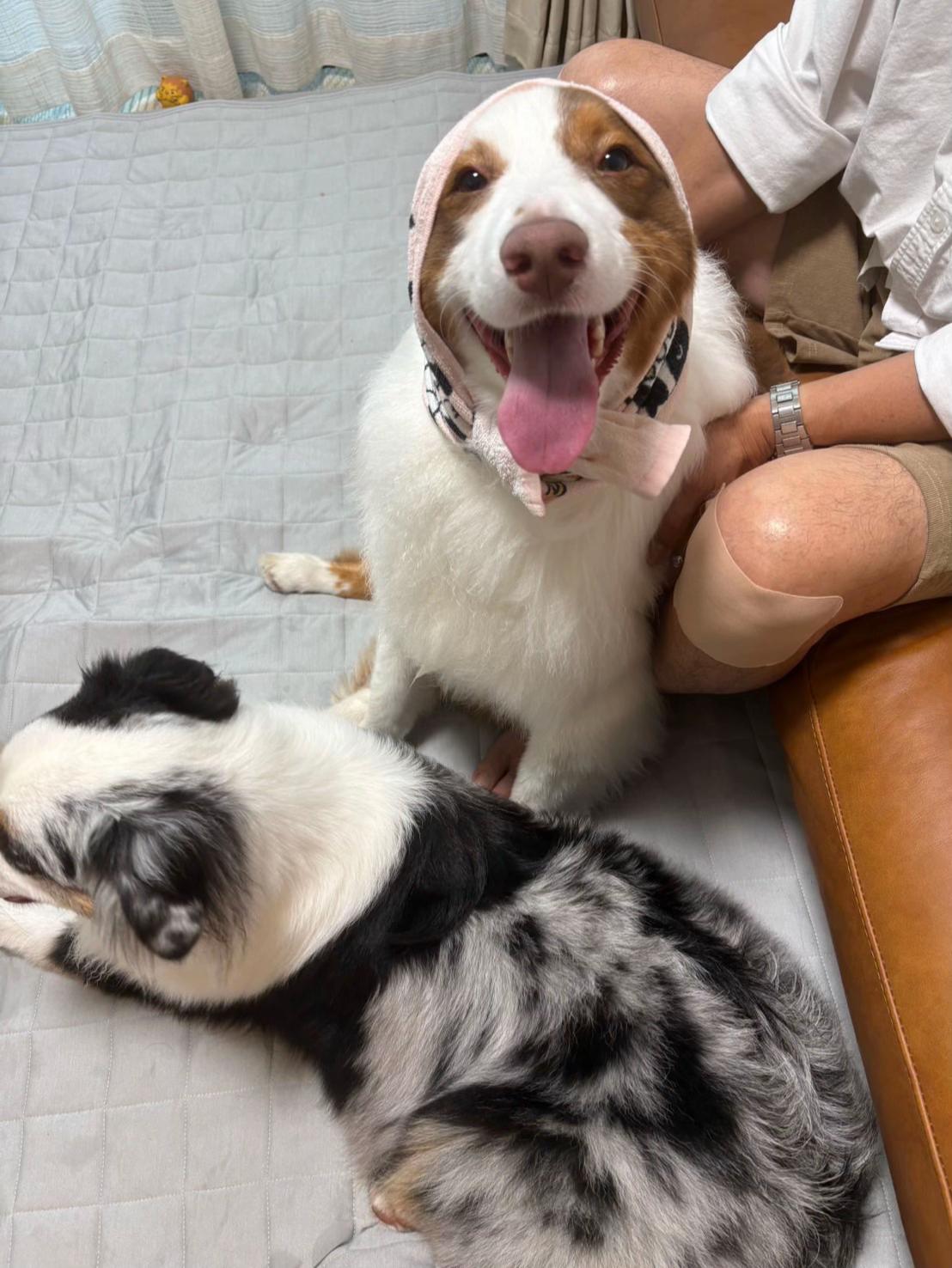 @サン&タマ