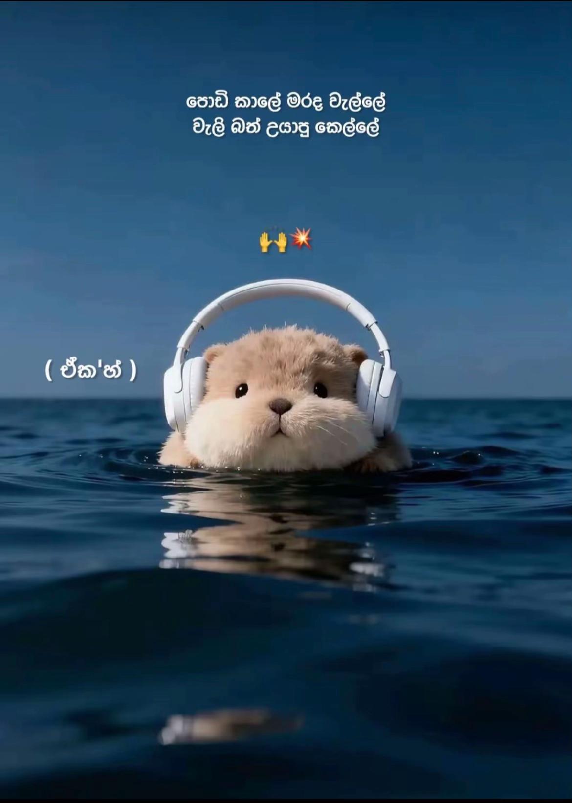 @i : 🦕”