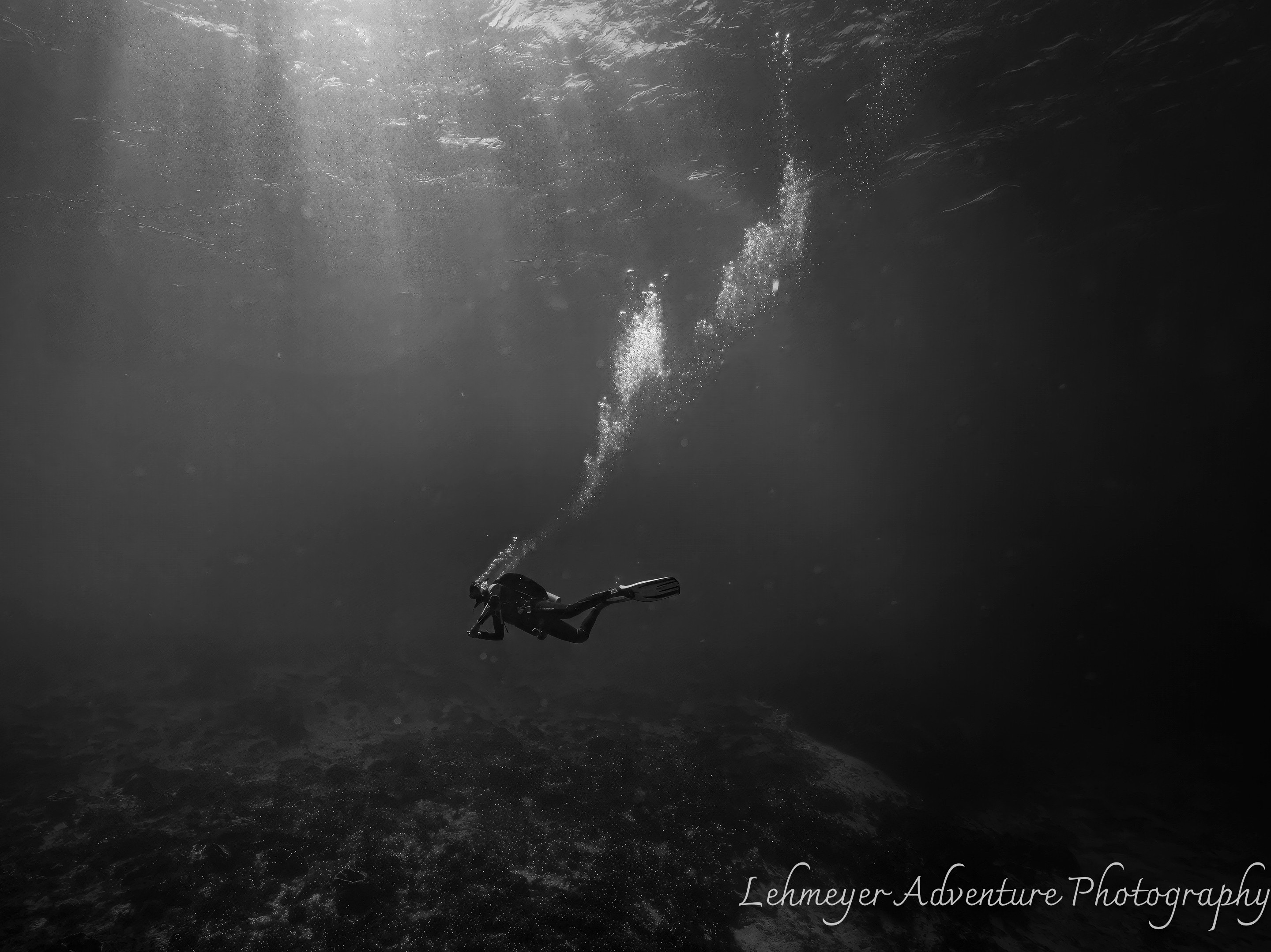 @lehmeyerphotography