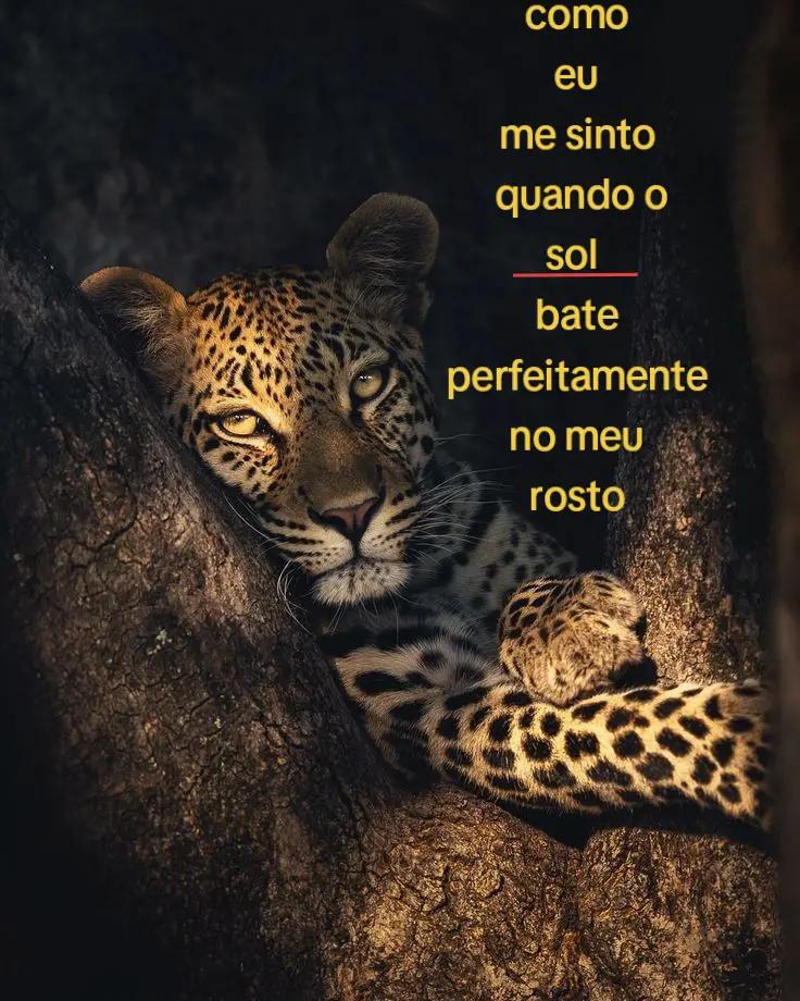 @♡
