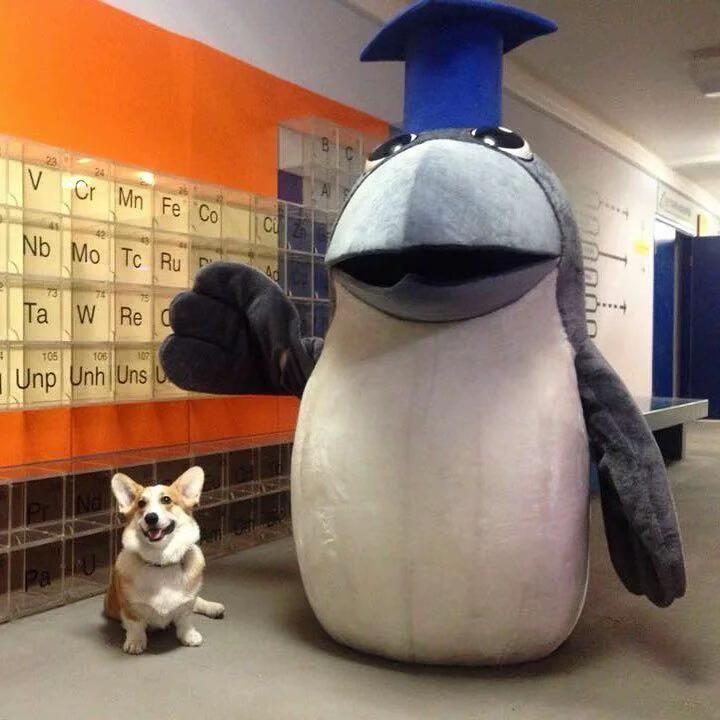 @Ди | Ютуб: @DishaTss
