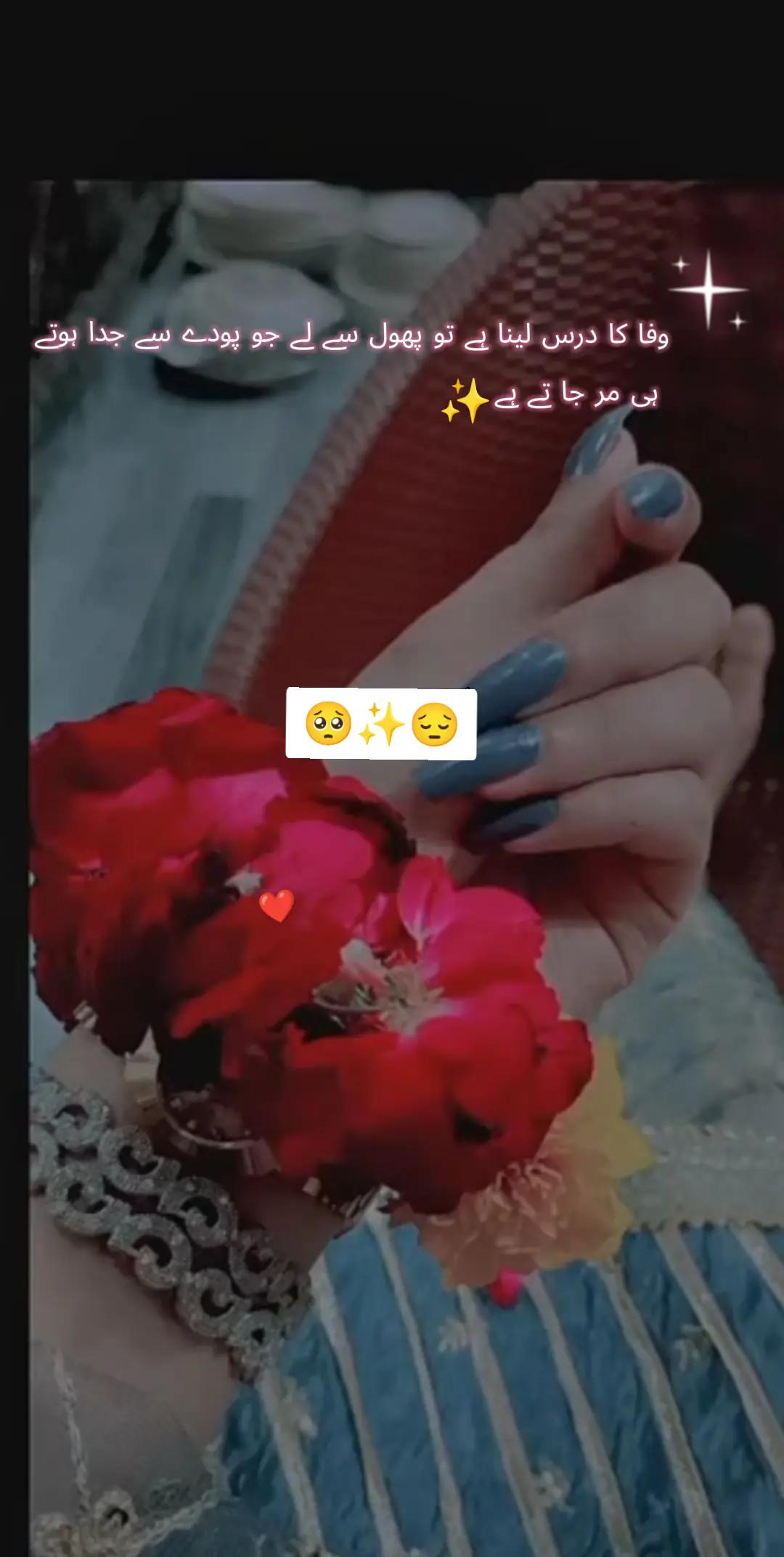 @๐ฆ๐ด๐
๐ท๐ท๐ฐ๐ฐ๐
๐
๐
๐ฆ