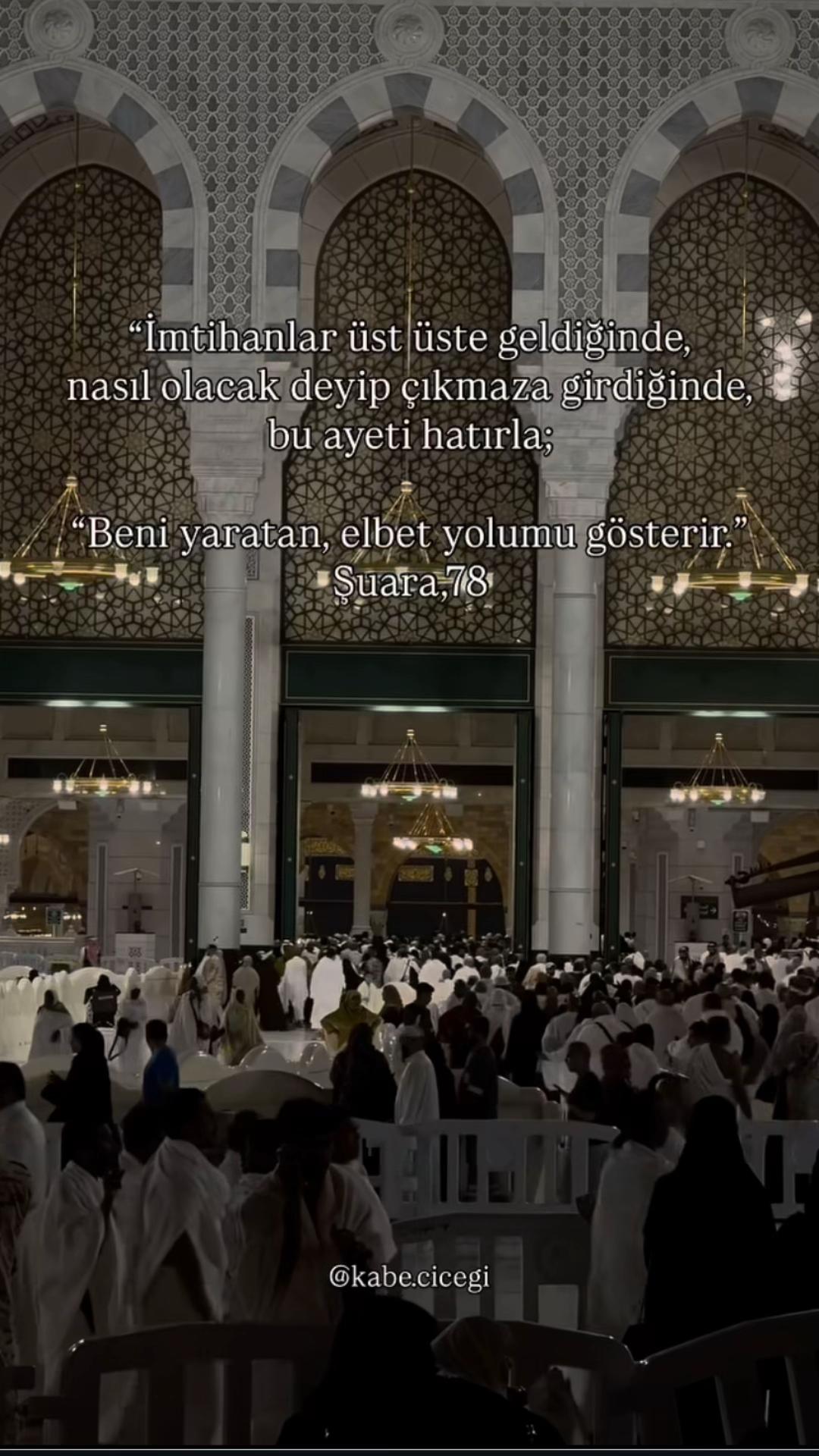 @ravzanur740