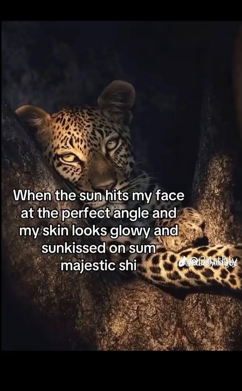 @bmweditos_1009