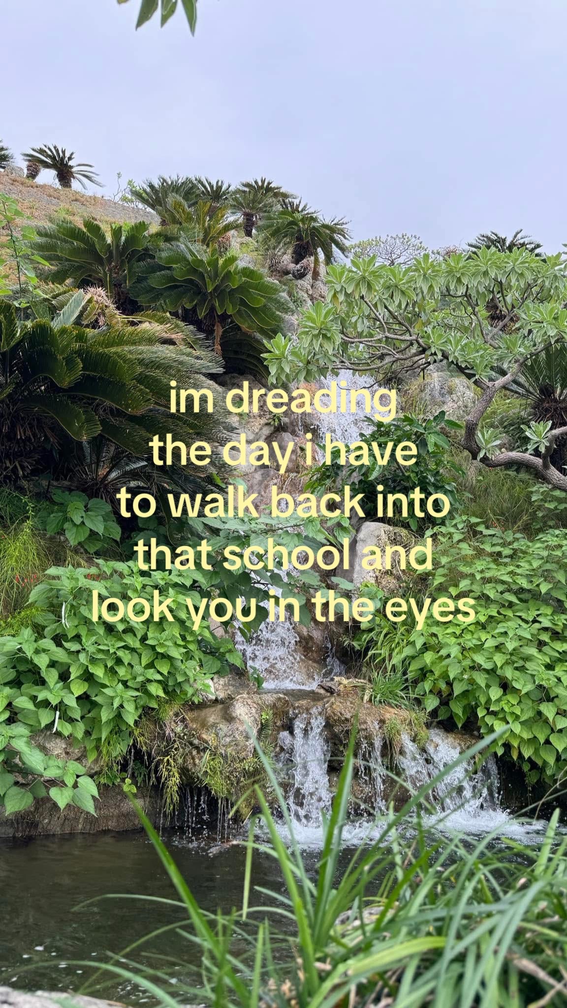 @ariana