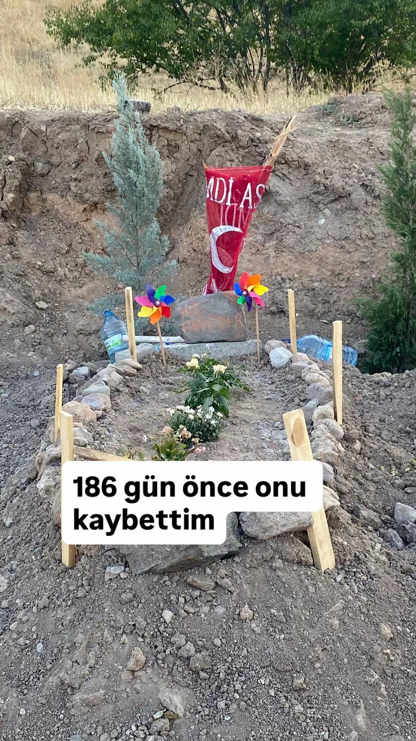 @Kader Gani