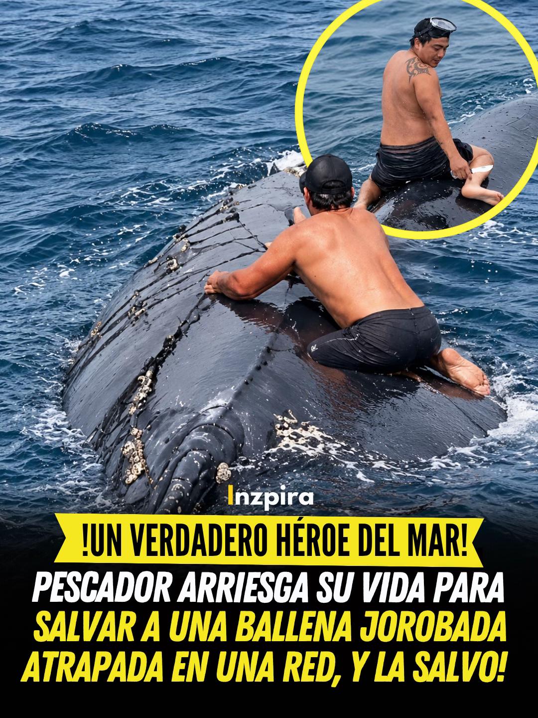 @inzpira.oficial