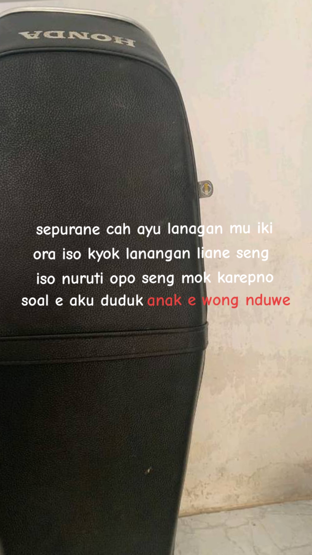 @๐๐๐๐๐๐ผ๐ ๐ ๐
