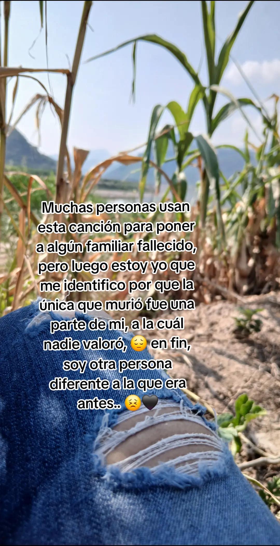 @Brisa Romero 🎀❤️🔥