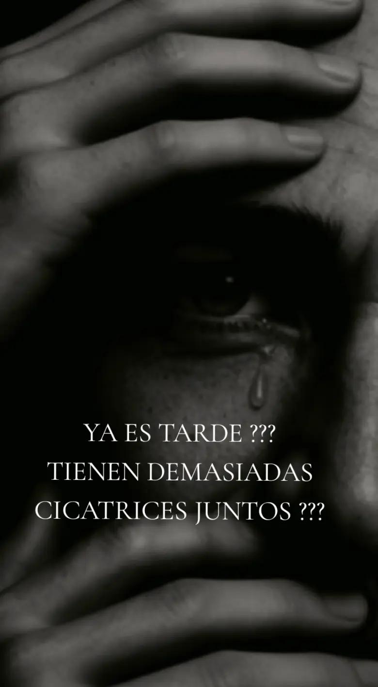 @EL TURCO