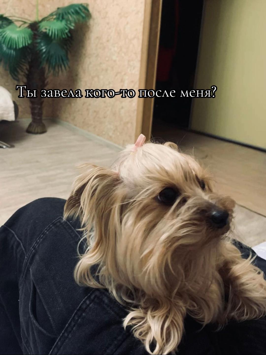 @dianochka