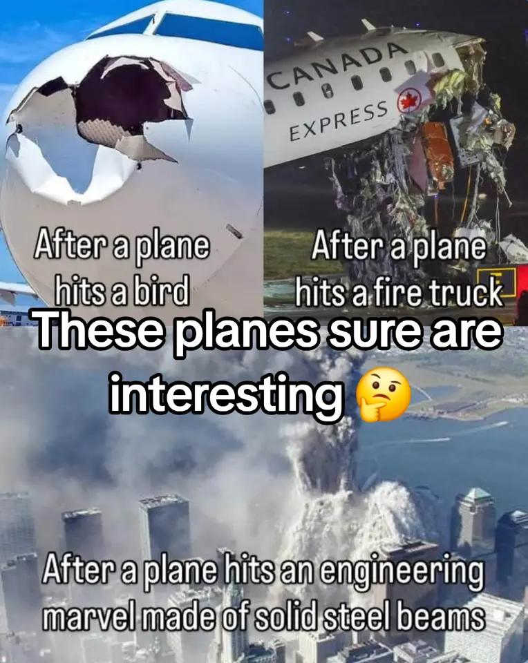 @Animemaniacs