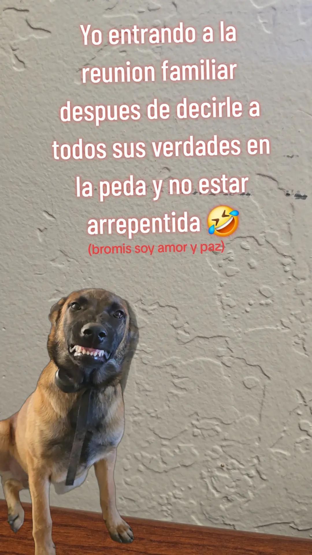 @Diana Luna