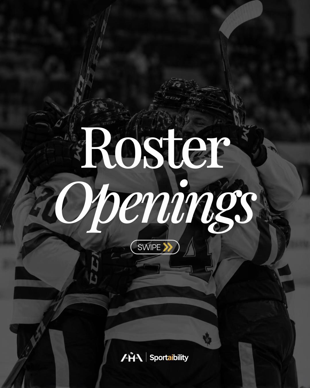 @Advancement Hockey Agency