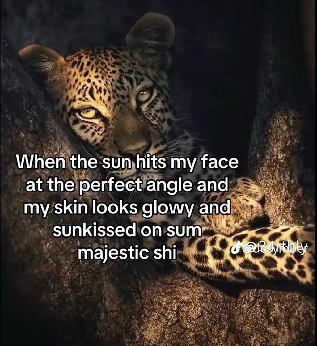 @🪷