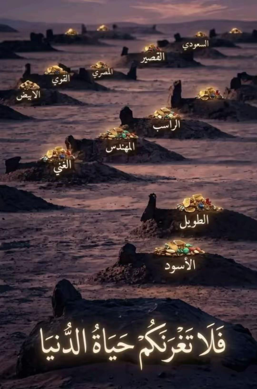 @adnaan_n