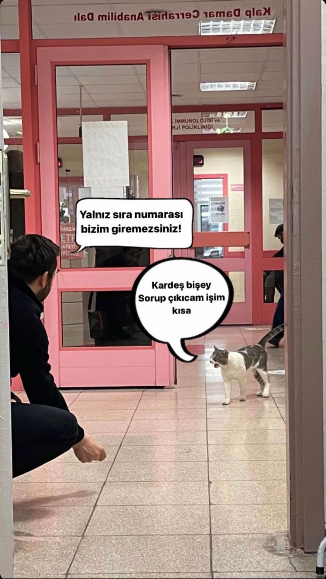 @drtarko