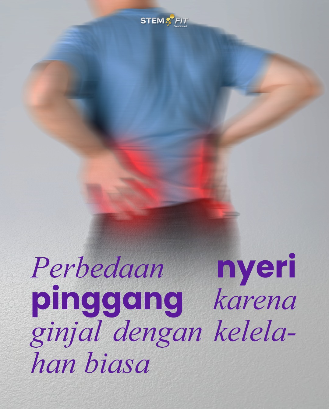 @Stemfit Official