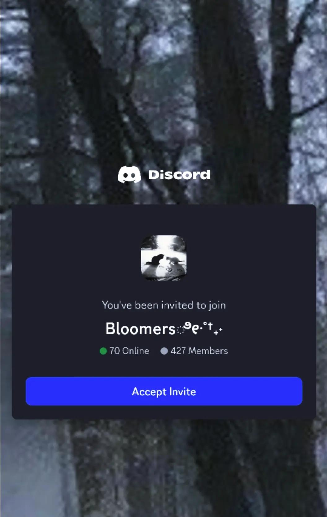 @𝐵𝑙𝑜𝑜𝑚𝑒𝑟𝑠 ྀི&bull; ༝ &bull;