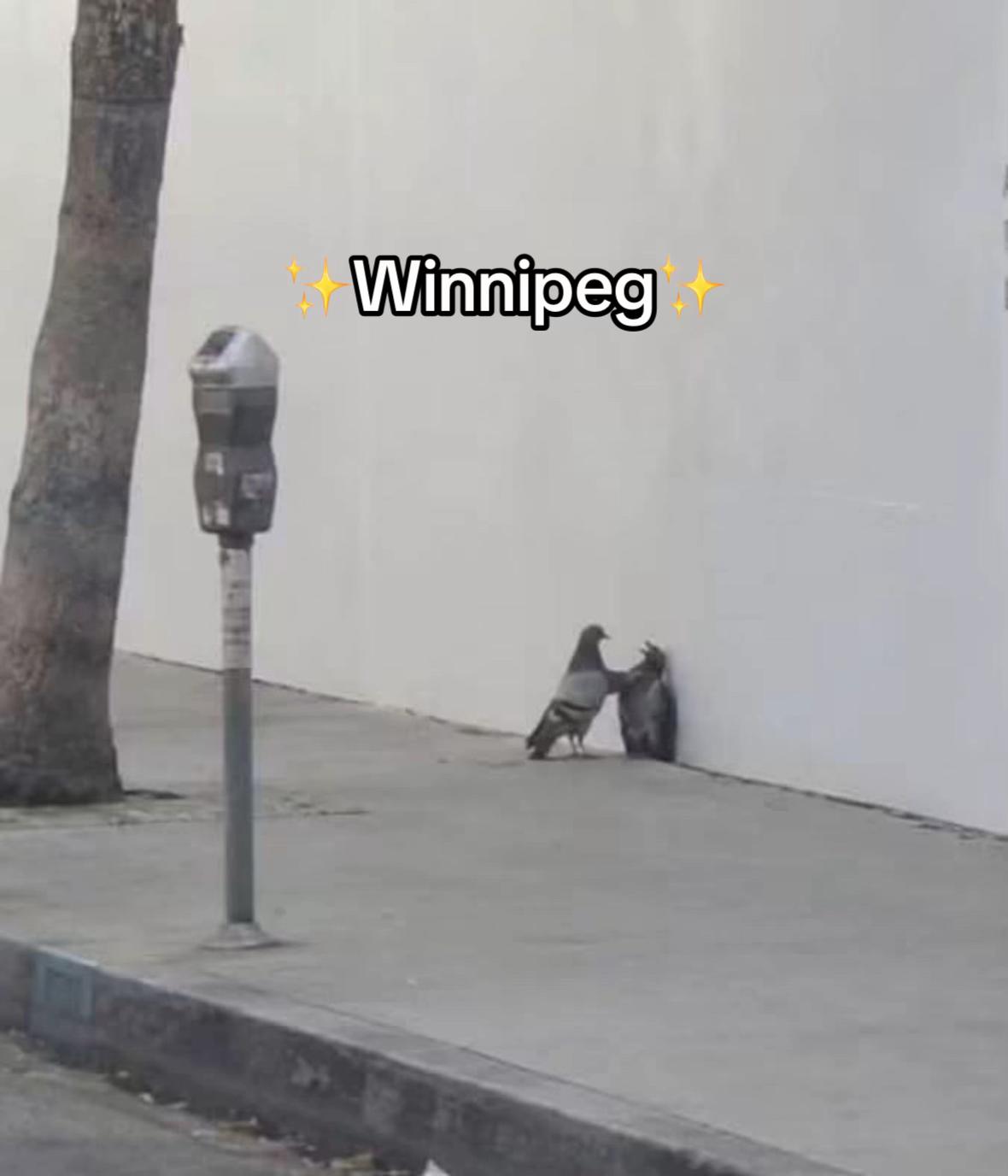 @OnlyInPeg