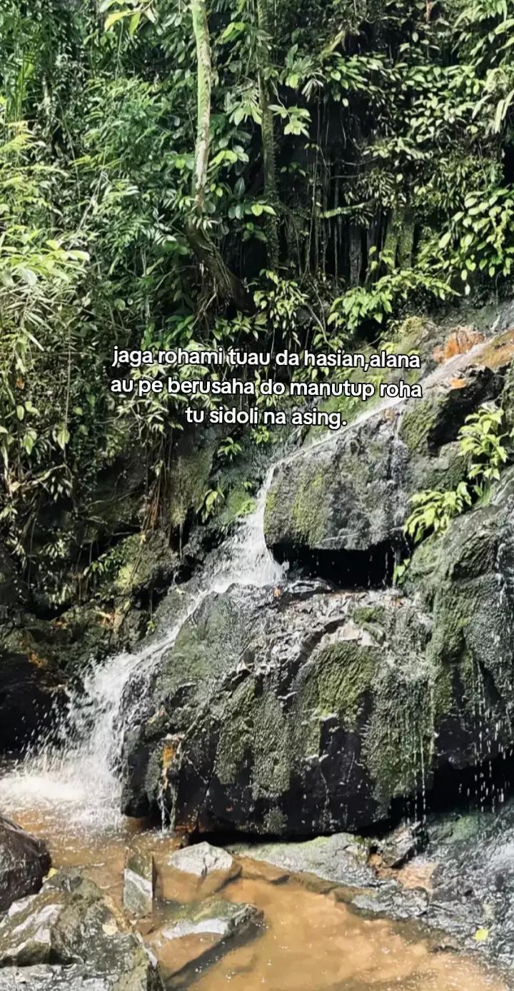 @Boru Hutasoit Story Batak✨✅