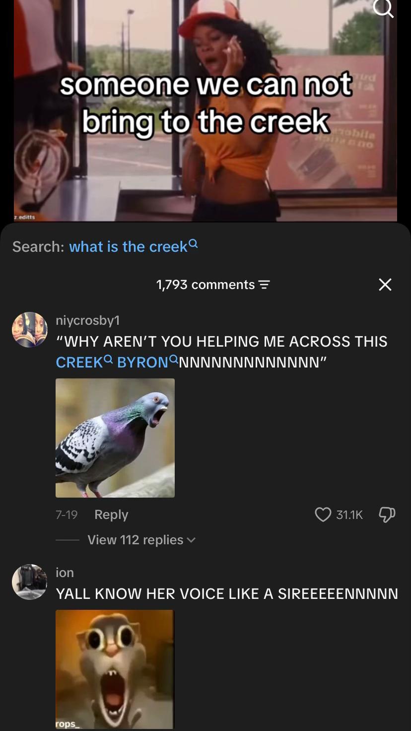 @shyy