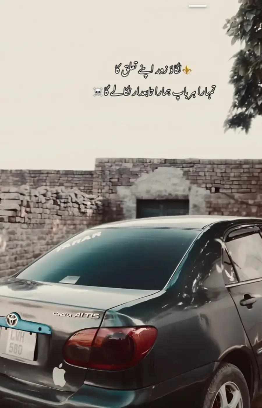 @🦁میاں اُسامہ 🦁