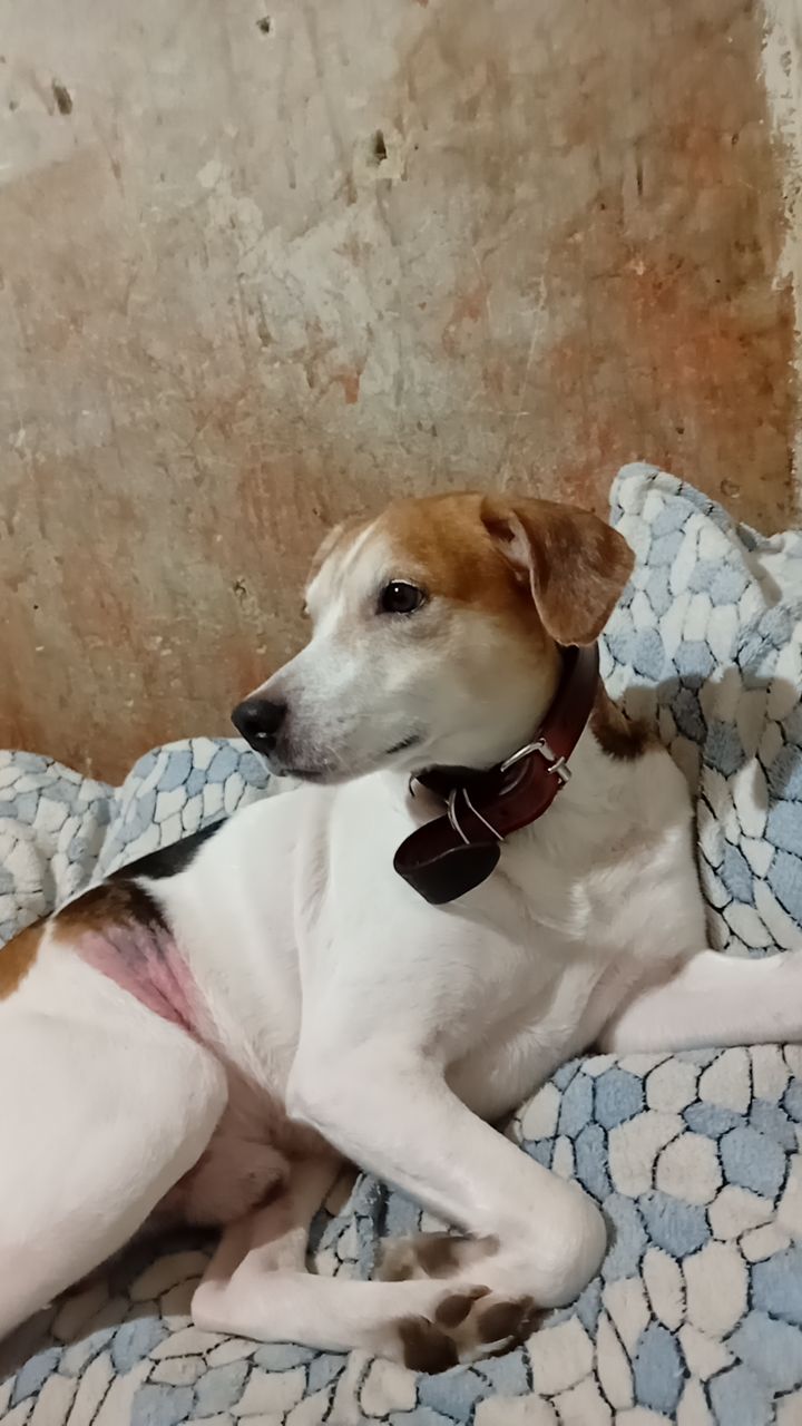 @Mariana Fernandes