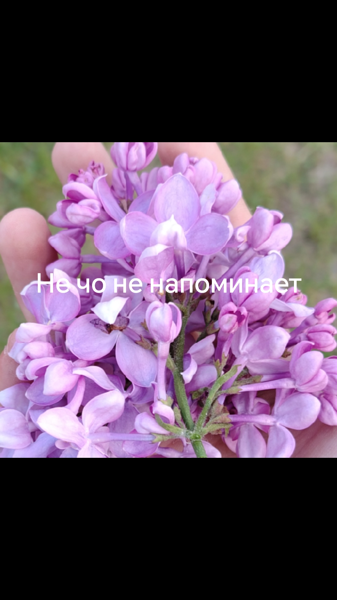 @обмен брэнротов