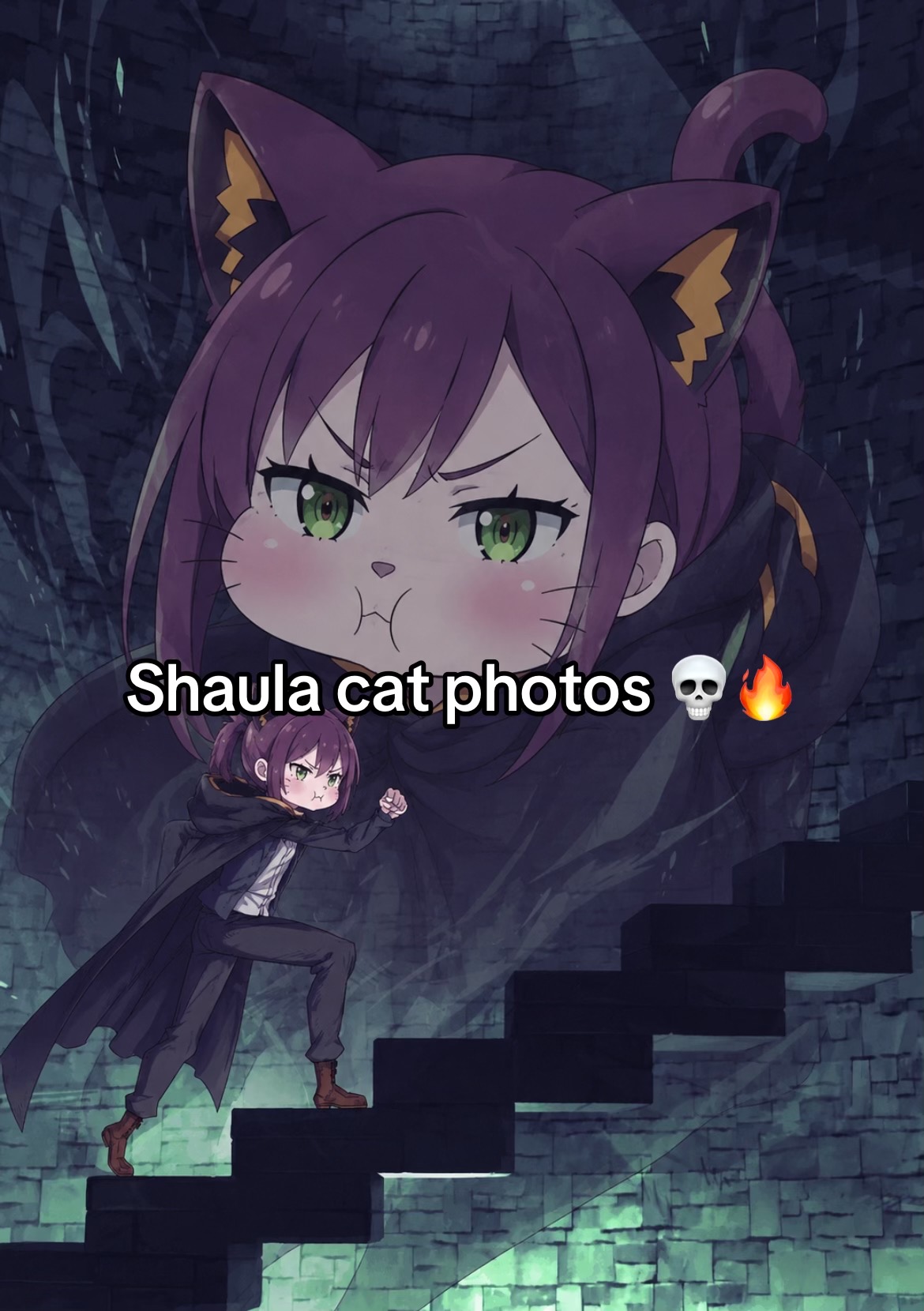 @𐔌𝘚𝘩𝘢𝘶𝘭𝘢 𝘤𝘢𝘵 ⋆˚