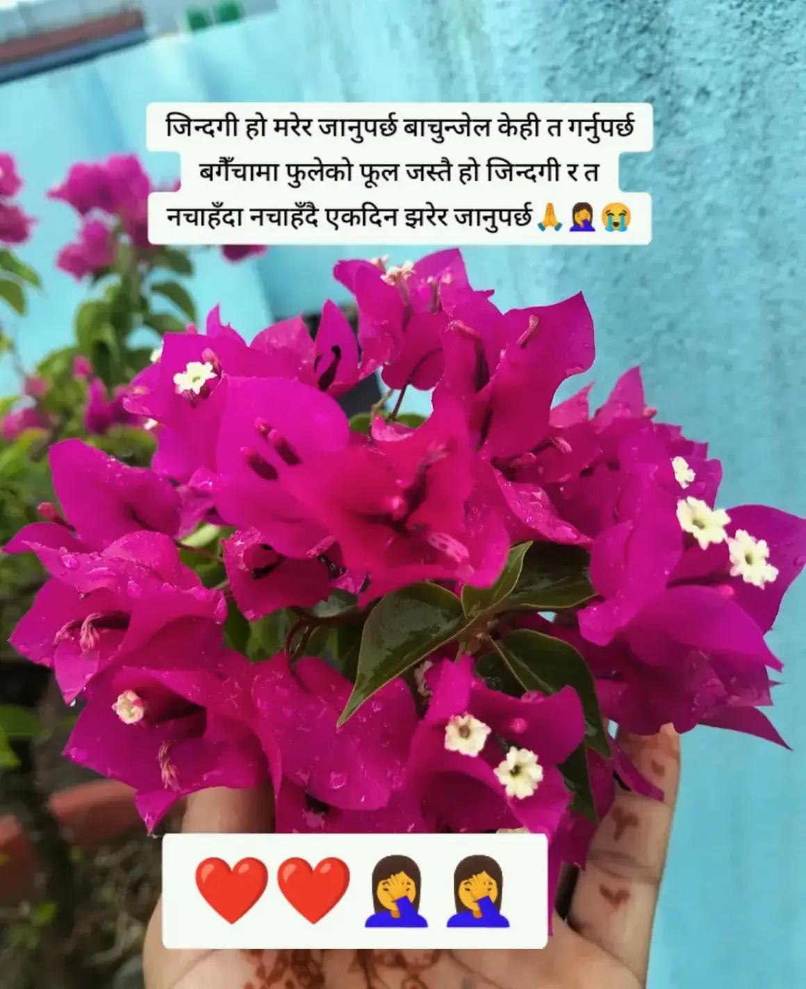 @Anju Chhetri