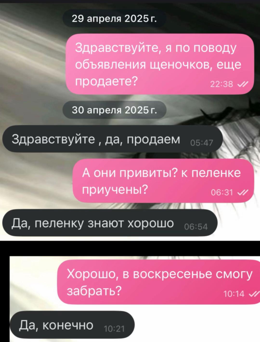 @катеррина