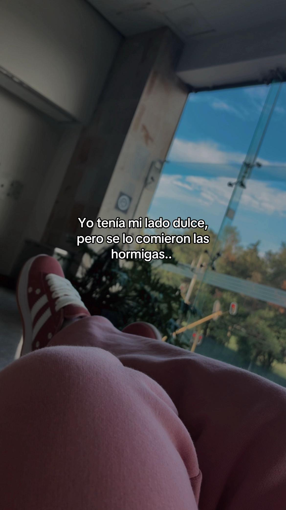@Zariitalp24