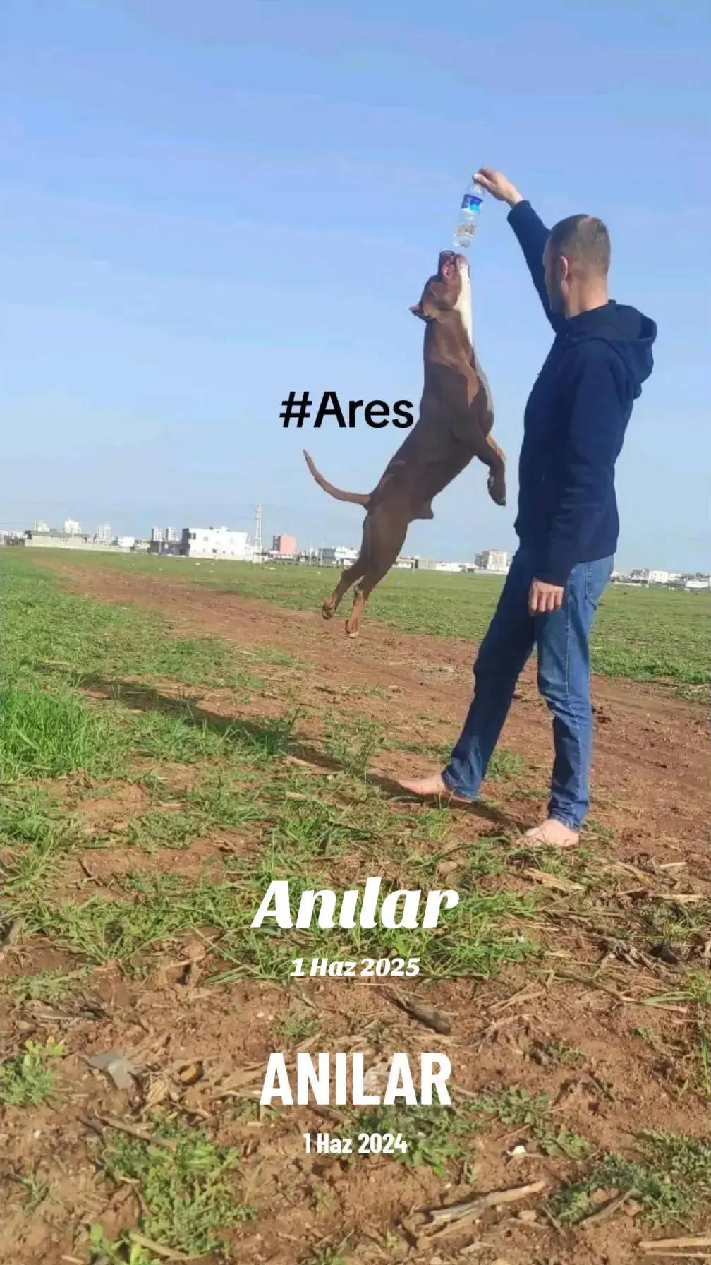 @arslanbey477