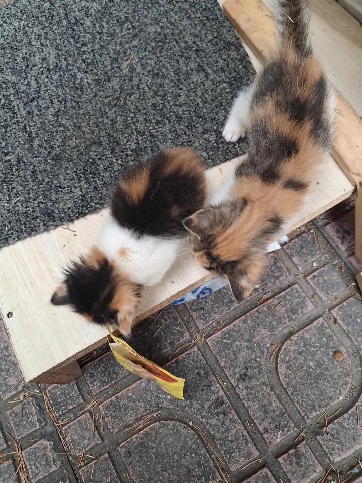 @Hüseyin kaya