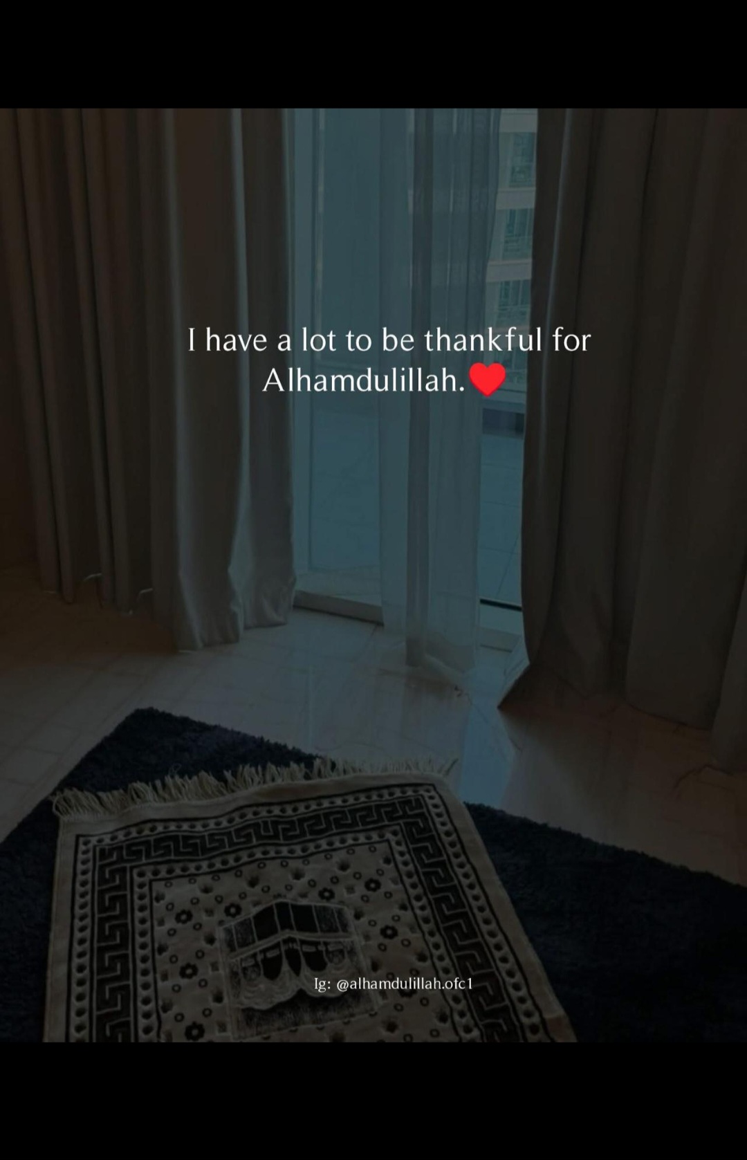 @Humble🕊Dove💞