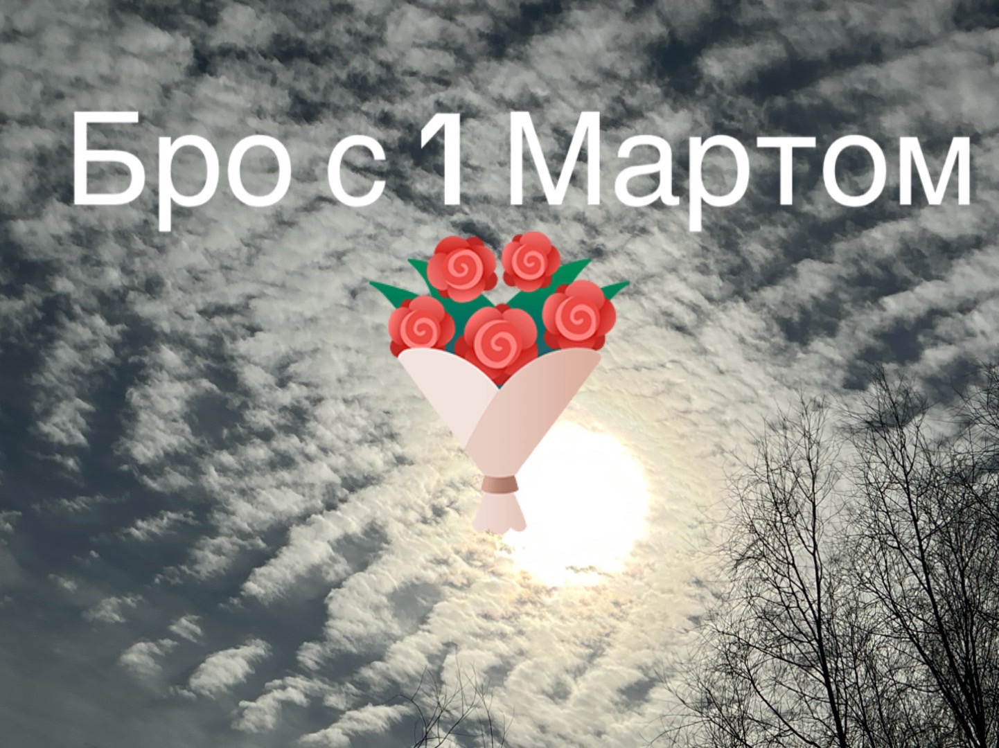 @*-* *_*