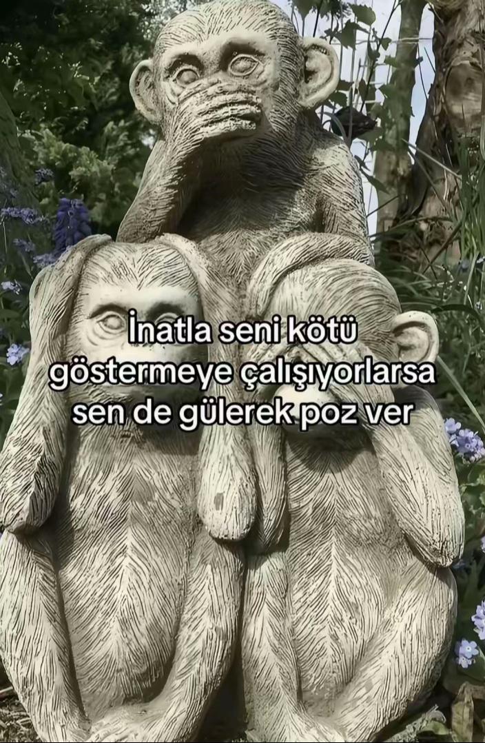 @zeynepp