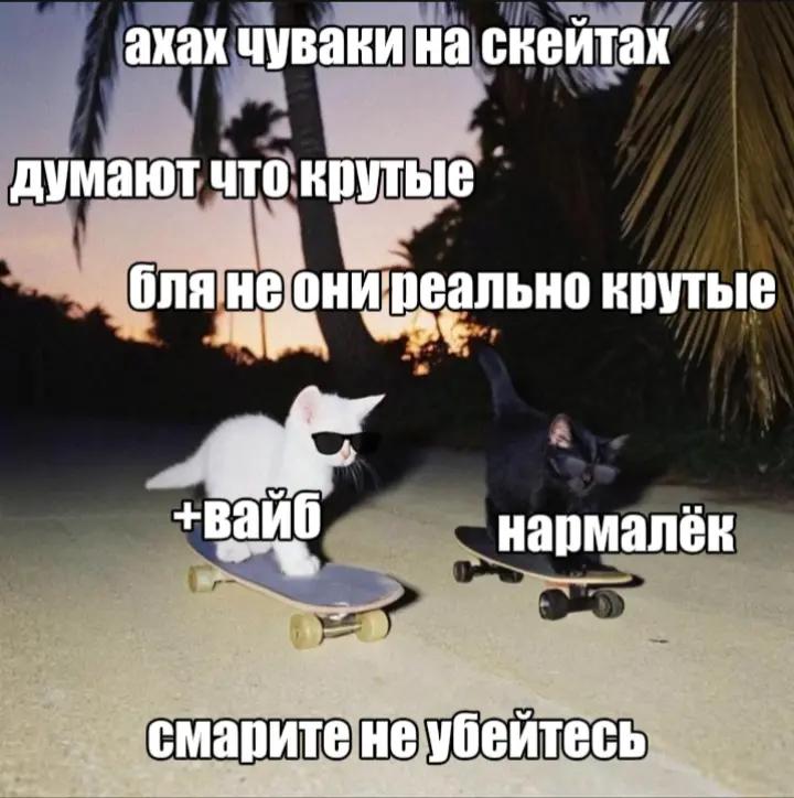 @mythware666