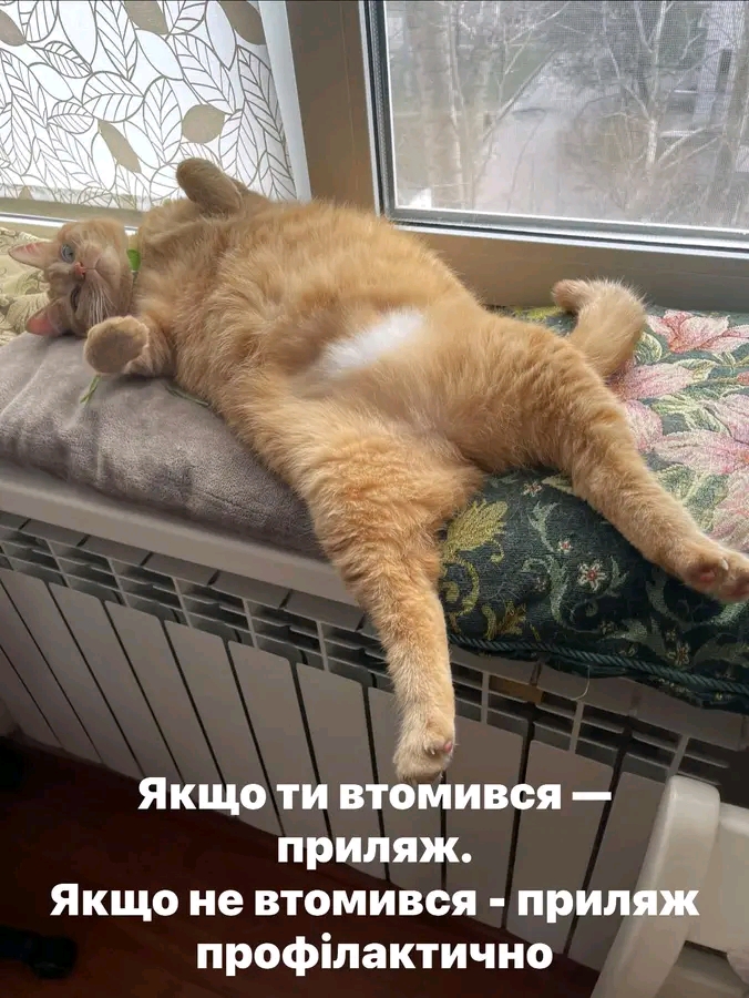 @tanysha🥰